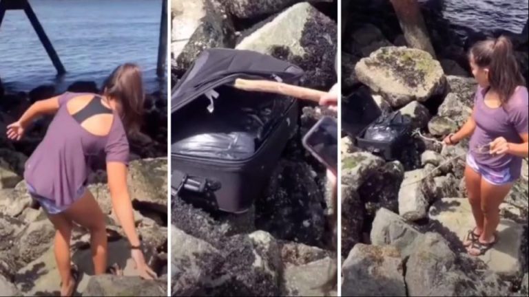 VIDEO: Adolescentes grababan un Tik Tok y terminaron encontrando un cadáver
