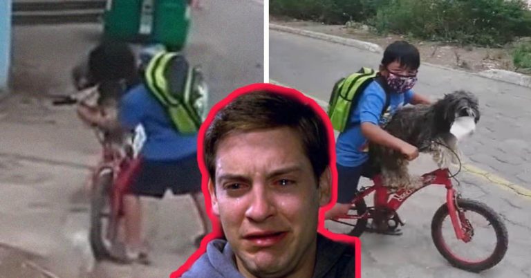 Niño pone cubrebocas a su perrito para que lo acompañe a la tienda y no se contagie