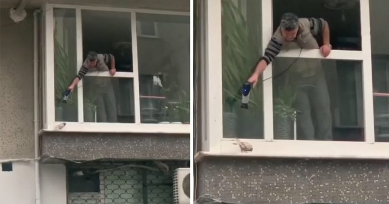 Video: Hombre hace lo posible por calentar a una paloma que se congela fuera de su ventana.