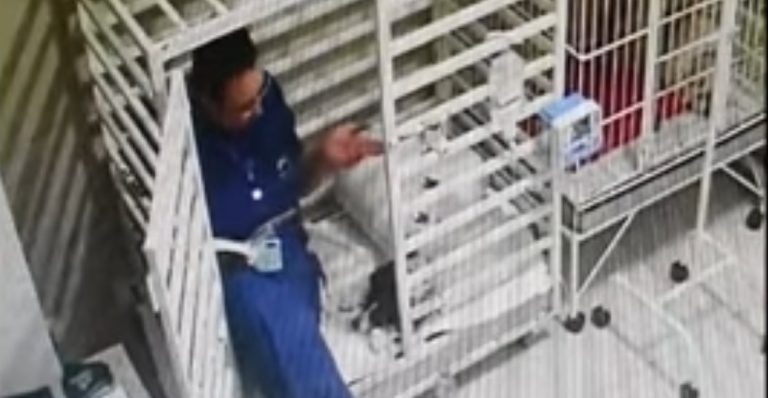 VIDEO: Veterinaria se mete a una jaula con un perrito para leerle un cuento