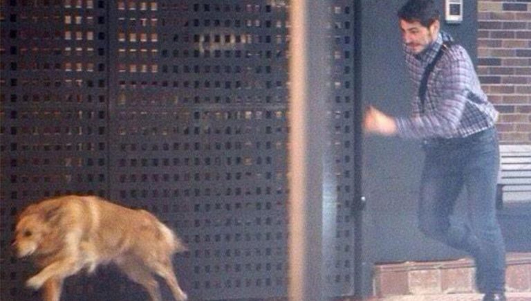 Secuencia de fotografías donde a Iker Casillas se le escapa su perro y tiene que perseguirlo por la calle se vuelve viral