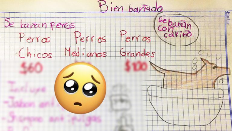 Tierno anuncio de pequeño que quiere ser veterinario se vuelve viral