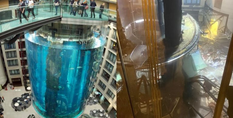 VIDEO: Explota el acuario cilíndrico más grande del mundo con más de 1500 especies